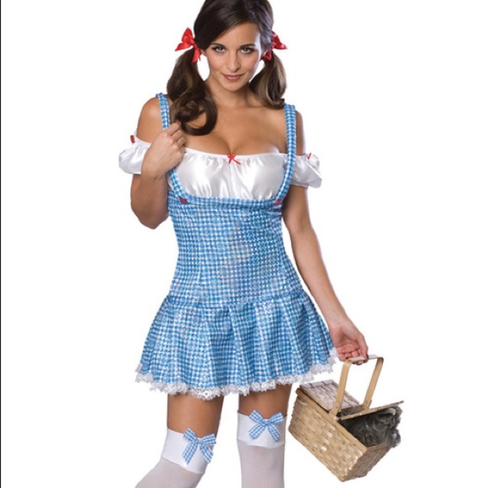 🔥Sexy Dorothy Wizard of Oz Costume (S) + Toto 🐶